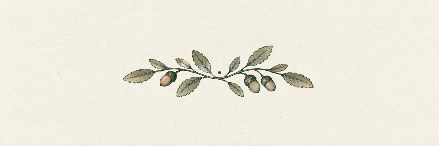 Ornamental sprig of Catalan holm oak with acorns